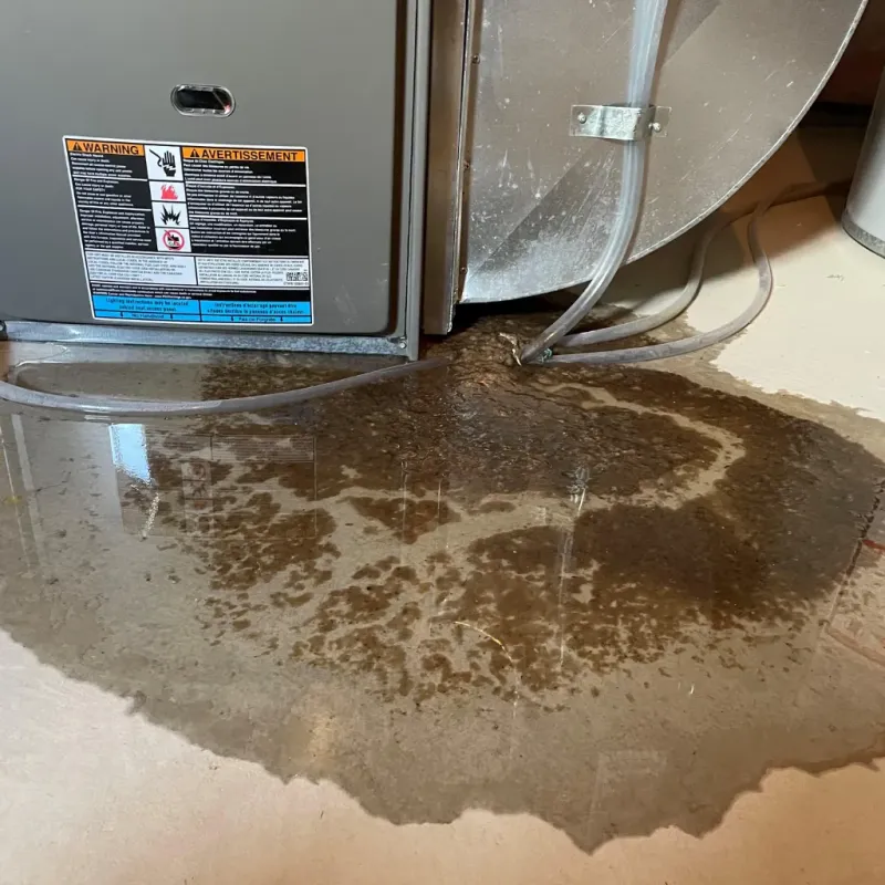 Appliance Leak Cleanup in Charlotte, VT